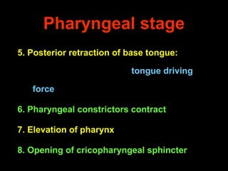 Pharyngeal stage
5. Posterior retraction of base tongue:
tongue driving
force
6. Pharyngeal constrictors contract
7. Eleva...