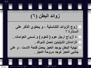 ‫البطن‬ ‫زوائد‬(6)
‫على‬ ‫الذكر‬ ‫يحتوي‬ ‫و‬ ، ‫التناسلية‬ ‫الزوائد‬ ‫زوج‬
‫؟‬ ‫الستارة‬
4‫عوم‬ ‫ارجل‬ ‫أزواج‬(‫للعوم‬)‫العوامات‬ ‫تسمى‬ ‫و‬.
‫أشواك‬ ‫تحمل‬ ‫الذيليتين‬ ‫الزائدتان‬.
‫على‬ ‫و‬ ، ‫االست‬ ‫فتحة‬ ‫يحمل‬ ‫العجز‬ ‫يوجد‬ ‫البطن‬ ‫نهاية‬
‫العجز‬ ‫مروحة‬ ‫توجد‬ ‫العجز‬ ‫جانبي‬.
‫د‬.‫أكبر‬ ‫آمال‬
 