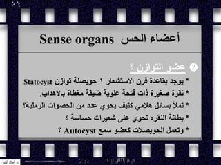 Sense organs ‫الحس‬ ‫أعضاء‬
‫؟‬ ‫التوازن‬ ‫عضو‬
*‫االستشعار‬ ‫قرن‬ ‫بقاعدة‬ ‫يوجد‬1‫توازن‬ ‫حويصلة‬Statocyst
*‫باالهداب‬ ‫مغطاة‬ ‫ضيقة‬ ‫علوية‬ ‫فتحة‬ ‫ذات‬ ‫صغيرة‬ ‫نقرة‬.
*‫الرملية؟‬ ‫الحصوات‬ ‫من‬ ‫عدد‬ ‫يحوي‬ ‫كثيف‬ ‫هالمي‬ ‫بسائل‬ ‫تمأل‬
*‫؟‬ ‫حساسة‬ ‫شعيرات‬ ‫على‬ ‫تحوي‬ ‫النقره‬ ‫بطانة‬
*‫سمع‬ ‫كعضو‬ ‫الحويصالت‬ ‫وتعمل‬Autocyst‫؟‬
‫د‬.‫أكبر‬ ‫آمال‬
 
