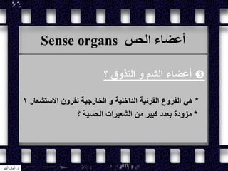 Sense organs ‫الحس‬ ‫أعضاء‬
‫؟‬ ‫التذوق‬ ‫و‬ ‫الشم‬ ‫أعضاء‬
*‫االستشعار‬ ‫لقرون‬ ‫الخارجية‬ ‫و‬ ‫الداخلية‬ ‫القرنية‬ ‫الفروع‬ ‫هي‬1
*‫؟‬ ‫الحسية‬ ‫الشعيرات‬ ‫من‬ ‫كبير‬ ‫بعدد‬ ‫مزودة‬
‫د‬.‫أكبر‬ ‫آمال‬
 
