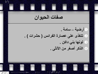 ‫الحيوان‬ ‫صفات‬
‫أرضية‬–‫سامة‬.
‫الفرائس‬ ‫عصارة‬ ‫على‬ ‫تتغذى‬(‫حشرات‬. )
‫داكن‬ ‫بني‬ ‫لونها‬.
‫األنثى‬ ‫من‬ ‫أصغر‬ ‫الذكر‬.
‫د‬.‫أكبر‬ ‫آمال‬
 