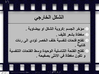 ‫الخارجي‬ ‫الشكل‬
‫الجسم‬ ‫مؤخر‬:‫بيضاوية‬ ‫او‬ ‫الشكل‬ ‫كروية‬.
‫كثيف‬ ‫بشعر‬ ‫مغطاة‬.
‫رئات‬ ‫الى‬ ‫تؤدي‬ ‫الخصر‬ ‫خلف‬ ‫تنفسية‬ ‫فتحات‬ ‫تفتح‬
‫كتابية‬.
‫التنفسية‬ ‫الفتحات‬ ‫وسط‬ ‫الوحيدة‬ ‫التناسلية‬ ‫الفتحة‬ ‫تفتح‬
‫بصفيحة‬ ‫االنثى‬ ‫في‬ ‫مغطاة‬ ‫تكون‬ ‫و‬.
‫د‬.‫أكبر‬ ‫آمال‬
 