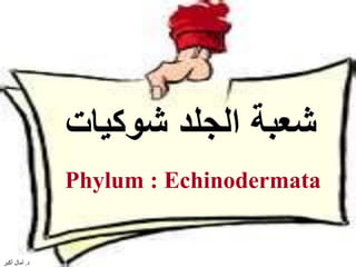 321‫شوكيات‬ ‫الجلد‬ ‫شعبة‬
Phylum : Echinodermata
‫د‬.‫أكبر‬ ‫آمال‬
 