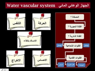 Water vascular system ‫المائي‬ ‫الوعائي‬ ‫الجهاز‬
‫؟‬ ‫المصفاة‬
‫؟‬ ‫الحجرية‬ ‫القناة‬
‫؟‬ ‫الدائرية‬ ‫القناة‬
‫الشعاعية‬ ‫القنوات‬
‫القدمية‬ ‫القنوات‬
‫الحوصلة‬‫االنبوبية‬ ‫القدم‬‫الممص‬
‫الحركة‬‫التنفس‬
‫بالغذاء‬ ‫االمساك‬
‫االحساس‬‫االخراج‬
‫بوليان‬‫تيدمان‬
‫د‬.‫أكبر‬ ‫آمال‬
 