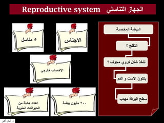 Reproductive system ‫التناسلي‬ ‫الجهاز‬
‫المخصبة‬ ‫البيضة‬
‫؟‬ ‫التفلج‬
‫؟‬ ‫مجوف‬ ‫كروي‬ ‫شكل‬ ‫تتخذ‬
‫الفم‬ ‫و‬ ‫االست‬ ‫يتكون‬
‫مهدب‬ ‫اليرقة‬ ‫سطح‬
‫االجناس‬5‫مناسل‬
‫خارجي‬ ‫االخصاب‬
200‫بيضة‬ ‫مليون‬‫من‬ ‫هائلة‬ ‫اعداد‬
‫المنوية‬ ‫الحيوانات‬
‫د‬.‫أكبر‬ ‫آمال‬
 