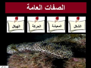 ‫العامة‬ ‫الصفات‬
‫المعيشة‬‫الهيكل‬ ‫الشكل‬‫الحركة‬
‫د‬.‫أكبر‬ ‫آمال‬
 