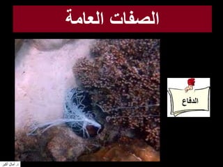 ‫العامة‬ ‫الصفات‬
‫الدفاع‬
‫د‬.‫أكبر‬ ‫آمال‬
 