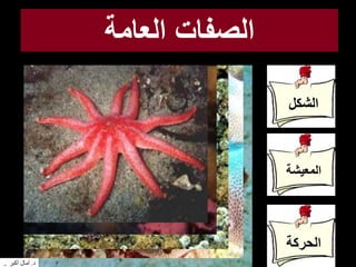 ‫العامة‬ ‫الصفات‬
‫المعيشة‬
‫الشكل‬
‫الحركة‬
‫د‬.‫أكبر‬ ‫آمال‬ ‫د‬.‫أكبر‬ ‫آمال‬
 