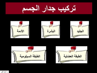 ‫الجسم‬ ‫جدار‬ ‫تركيب‬
‫الجليد‬‫البشرة‬‫األدمة‬
‫العضلية‬ ‫الطبقة‬‫السيلومية‬ ‫الطبقة‬
‫د‬.‫أكبر‬ ‫آمال‬
 