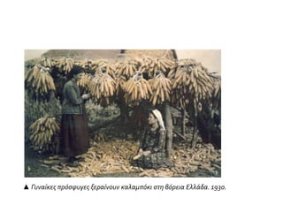 ▲ Γυναίκες πρόσφυγες ξεραίνουν καλαμπόκι στη βόρεια Ελλάδα. 1930.
 