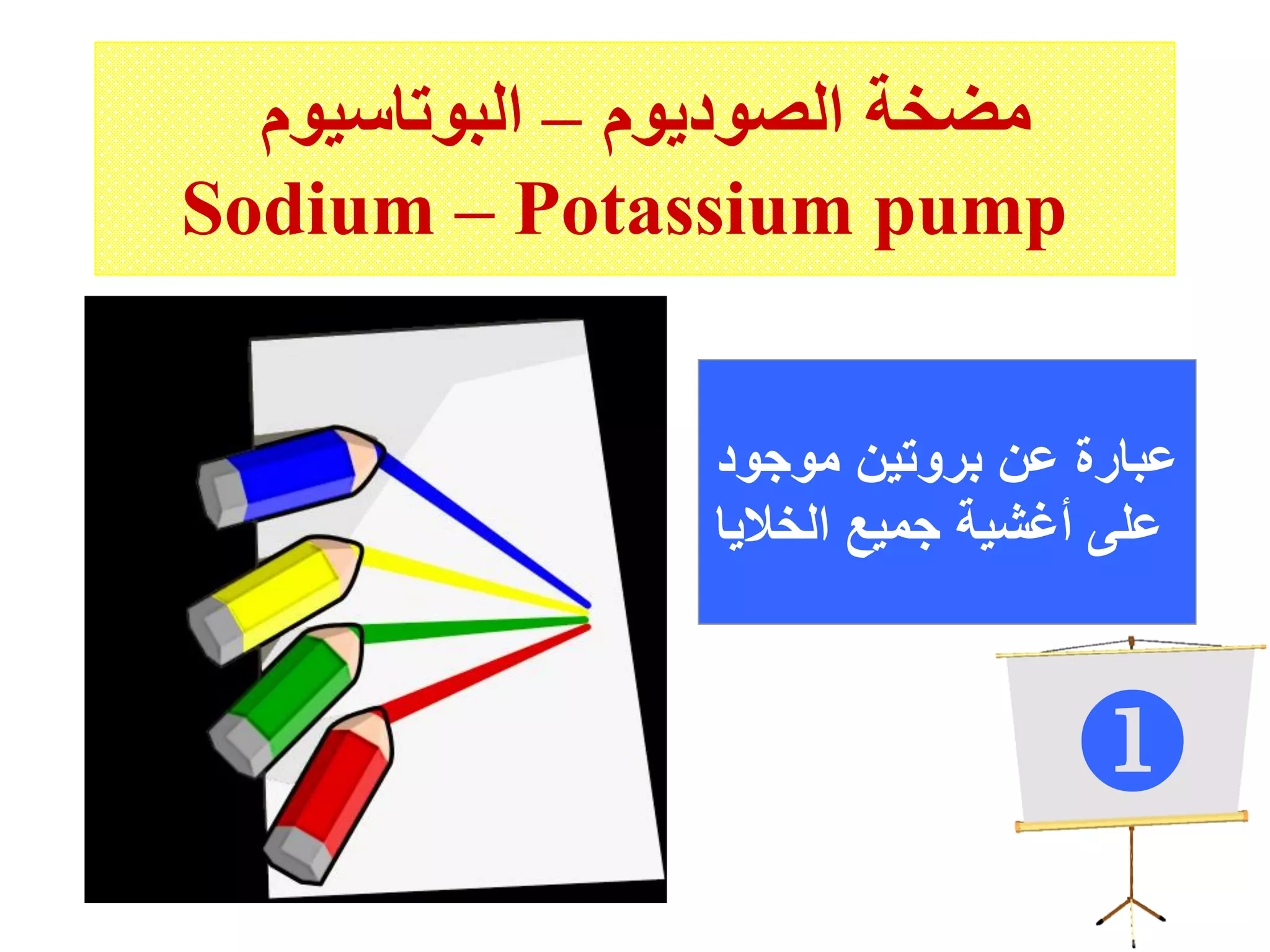 ‫الصوديوم‬ ‫مضخة‬–‫البوتاسيوم‬
Sodium – Potassium pump
‫موجود‬ ‫بروتين‬ ‫عن‬ ‫عبارة‬
‫الخاليا‬ ‫جميع‬ ‫أغشية‬ ‫على‬

 