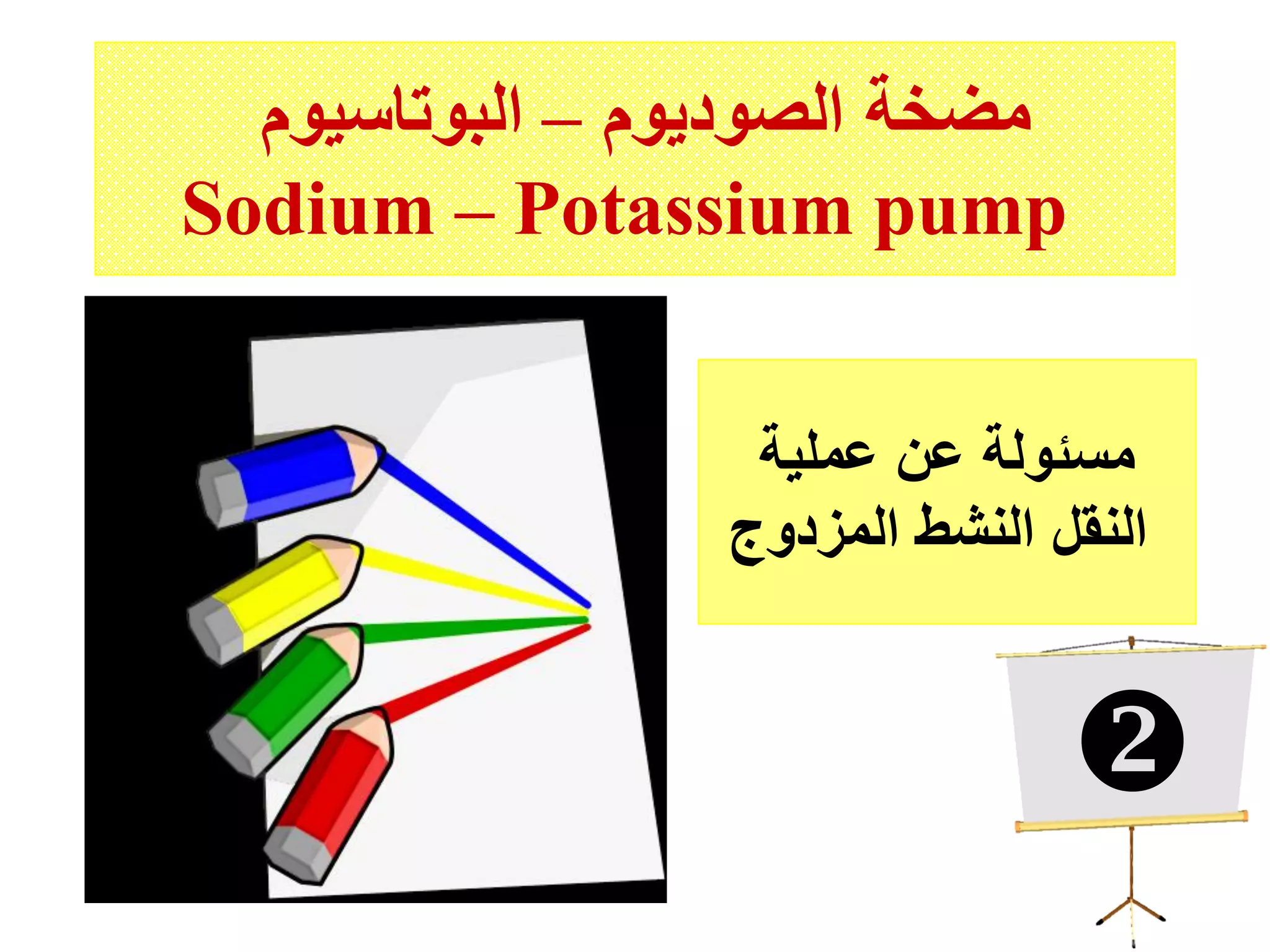 ‫الصوديوم‬ ‫مضخة‬–‫البوتاسيوم‬
Sodium – Potassium pump
‫عملية‬ ‫عن‬ ‫مسئولة‬
‫المزدوج‬ ‫النشط‬ ‫النقل‬

 