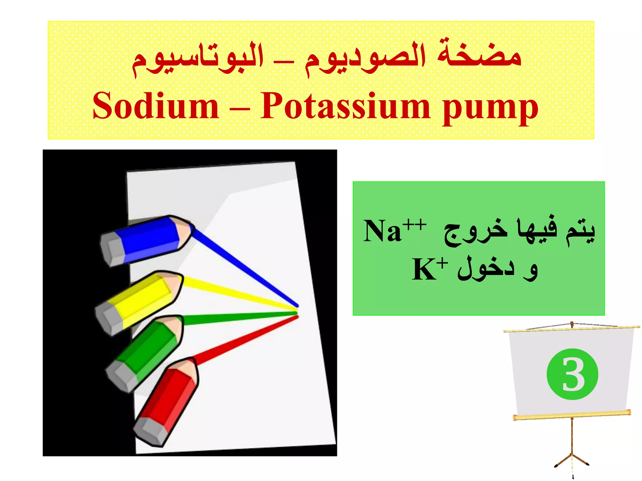 ‫الصوديوم‬ ‫مضخة‬–‫البوتاسيوم‬
Sodium – Potassium pump
Na++ ‫خروج‬ ‫فيها‬ ‫يتم‬
K+ ‫دخول‬ ‫و‬

 