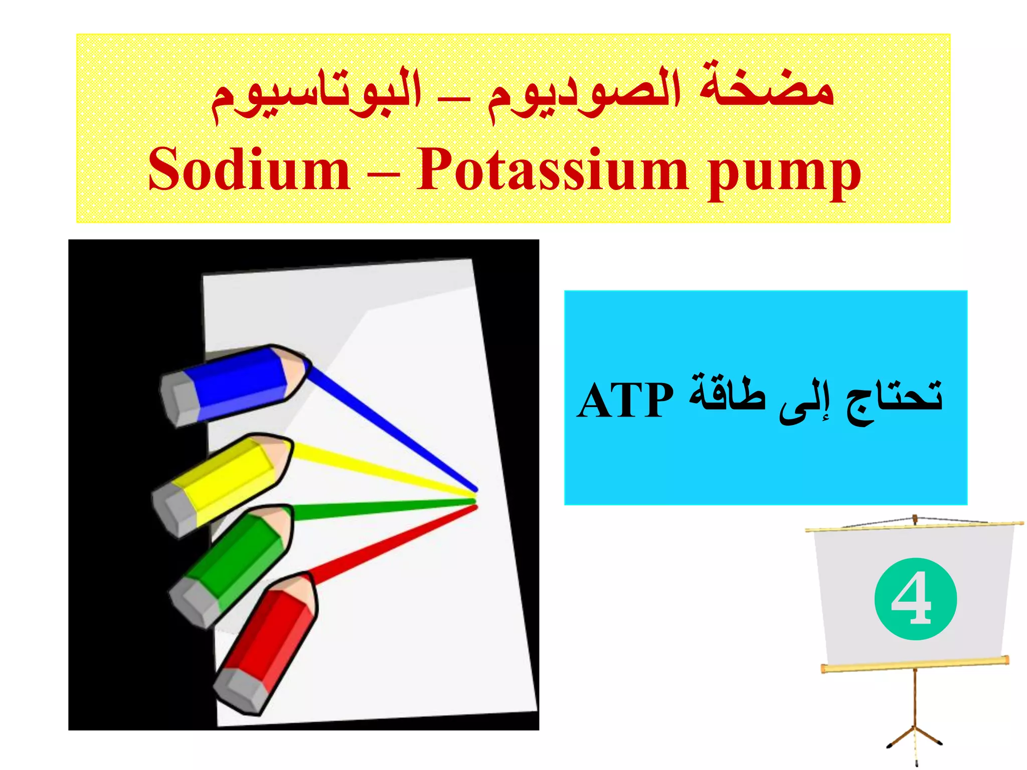 ‫الصوديوم‬ ‫مضخة‬–‫البوتاسيوم‬
Sodium – Potassium pump
ATP ‫طاقة‬ ‫إلى‬ ‫تحتاج‬

 