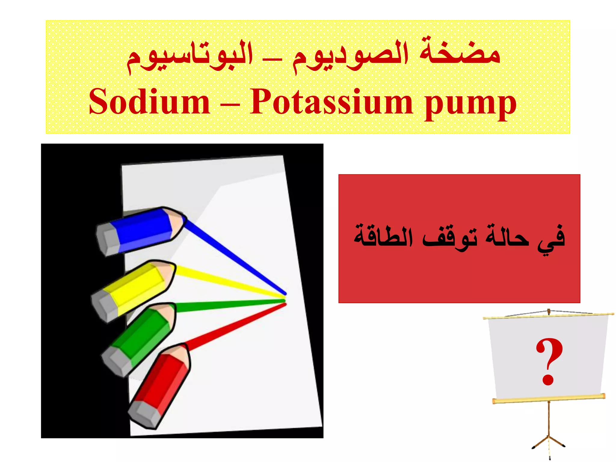 ‫الصوديوم‬ ‫مضخة‬–‫البوتاسيوم‬
Sodium – Potassium pump
‫الطاقة‬ ‫توقف‬ ‫حالة‬ ‫في‬
?
 