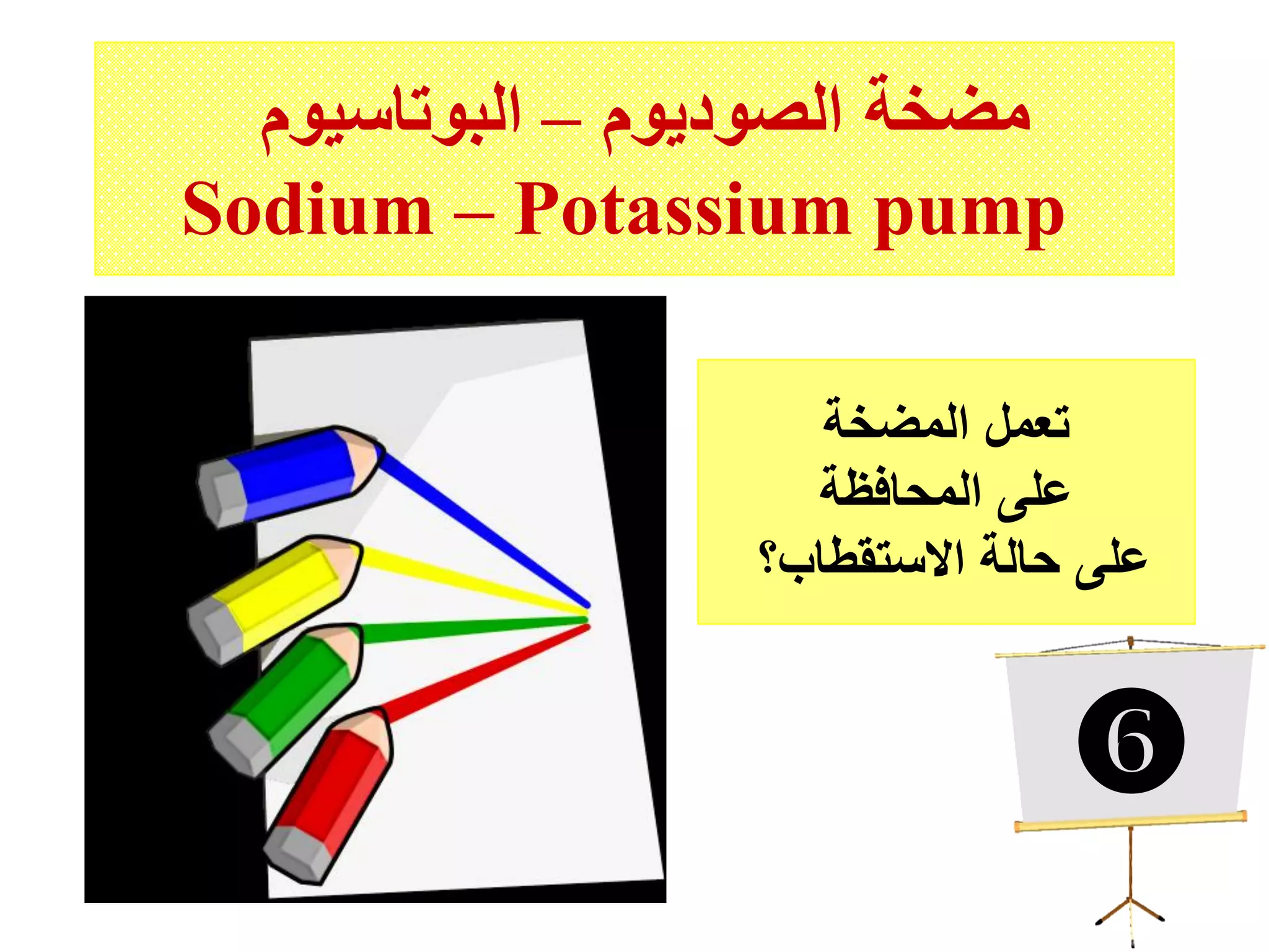 ‫الصوديوم‬ ‫مضخة‬–‫البوتاسيوم‬
Sodium – Potassium pump
‫المضخة‬ ‫تعمل‬
‫المحافظة‬ ‫على‬
‫االستقطاب؟‬ ‫حالة‬ ‫على‬

 