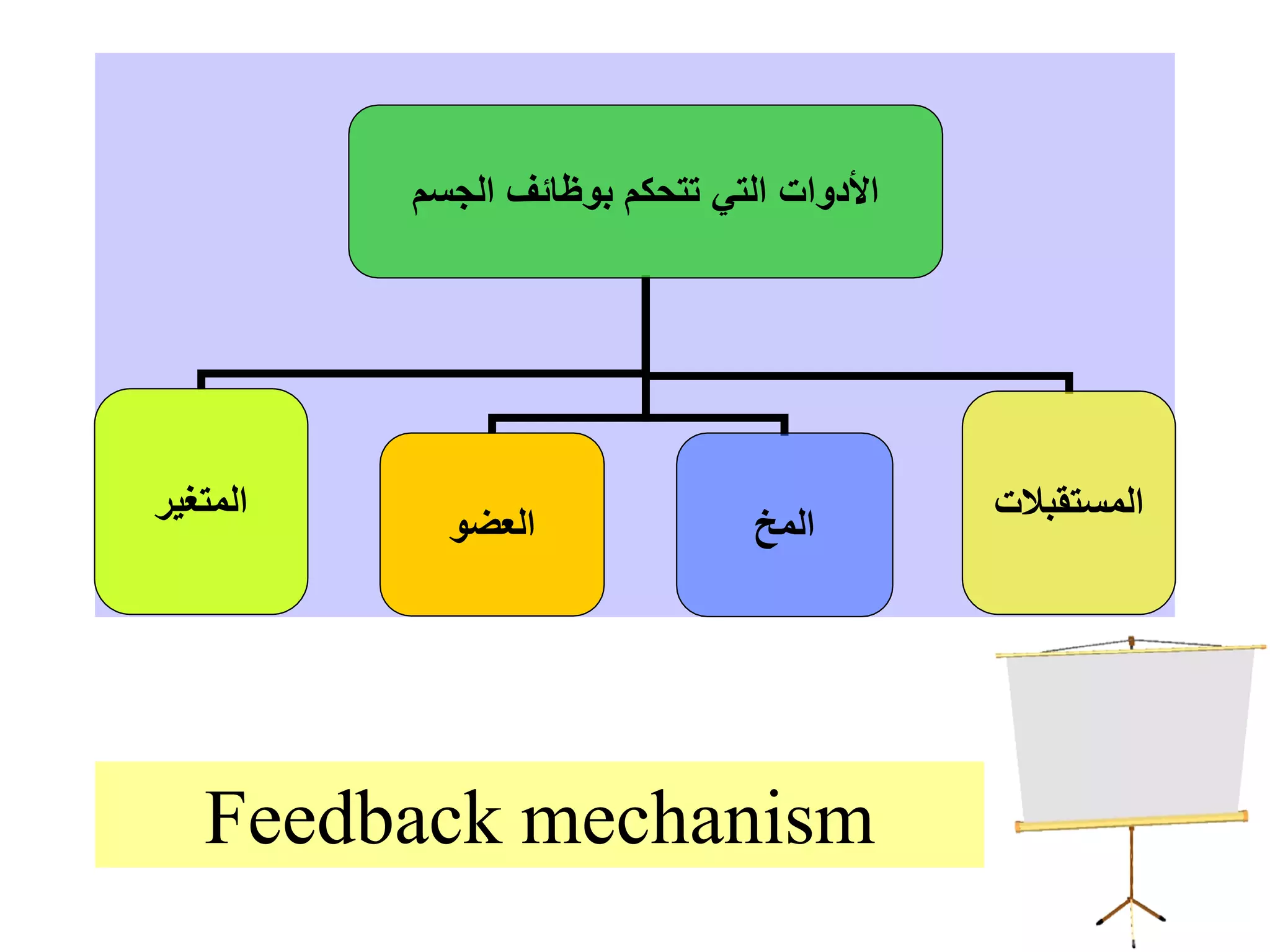 ‫الجسم‬ ‫بوظائف‬ ‫تتحكم‬ ‫التي‬ ‫األدوات‬
‫المتغير‬
‫المخ‬
‫المستقبالت‬
‫العضو‬
Feedback mechanism
 