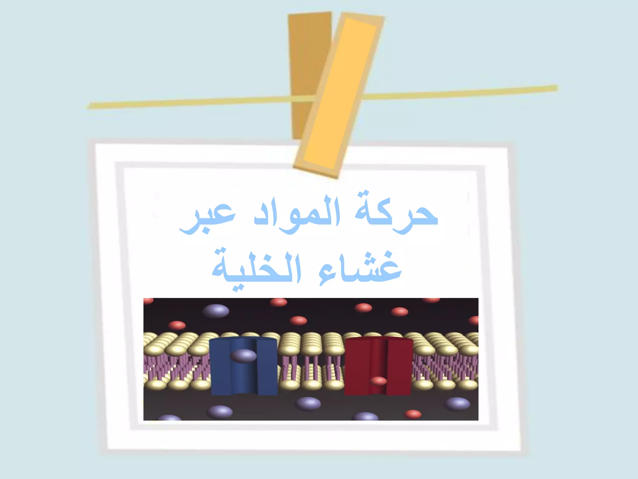 ‫عبر‬ ‫المواد‬ ‫حركة‬
‫الخلية‬ ‫غشاء‬
 