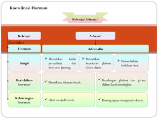 Kelenjar AdrenalKelenjar Adrenal
Kelenjar
Hormon
Fungsi
Berlebihan
hormon
Kekurangan
hormon
Adrenal
Adrenalin
Merembes
 Menaikkan kadar
pernafasan dan
denyutan jantung.
 Menaikkan
kepekatan glukosa
dalam darah.
 Menaikkan tekanan darah.
 Kandungan glukosa dan garam
dalam darah meningkat.
 Otot menjadi lemah.  Kurang upaya mengatasi tekanan.
 Menyediakan
tindakan otot.
Koordinasi Hormon
 