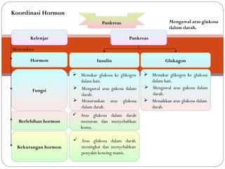 PankreasPankreas
Kelenjar
Hormon
Fungsi
Berlebihan hormon
Kekurangan hormon
Pankreas
Insulin Glukagon
Merembes
 Menukar glukosa ke glikogen
dalam hati.
 Menukar glikogen ke glukosa
dalam hati.
Mengawal aras glukosa
dalam darah.
 Aras glukosa dalam darah
menurun dan menyebabkan
koma.
 Aras glukosa dalam darah
meningkat dan menyebabkan
penyakit kencing manis.
 Menurunkan aras glukosa
dalam darah.
 Menaikkan aras glukosa dalam
darah.
 Mengawal aras gukosa dalam
darah.
Koordinasi Hormon
 Mengawal aras gukosa dalam
darah.
 