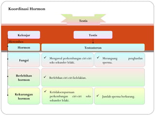 TestisTestis
Kelenjar
Hormon
Fungsi
Berlebihan
hormon
Kekurangan
hormon
Testis
Testosteron
Merembes
 Mengawal perkembangan ciri-ciri
seks sekunder lelaki.
 Merangsang penghasilan
sperma.
 Berlebihan ciri-ciri kelelakian.
 Ketidaksempurnaan
perkembangan ciri-ciri seks
sekunder lelaki.
 Jumlah sperma berkurang.
Koordinasi Hormon
 