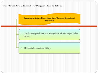 Persamaan Antara Koordinasi Saraf Dengan Koordinasi
Endokrin
 Untuk mengawal atur dan menyelaras aktiviti organ dalam
badan.
Koordinasi Antara Sistem Saraf Dengan Sistem Endokrin
 Menjamin kemandirian hidup.
 