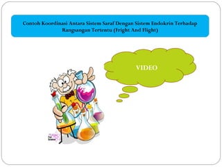 Contoh Koordinasi Antara Sistem Saraf Dengan Sistem Endokrin Terhadap
Rangsangan Tertentu (Fright And Flight)
VIDEO
 