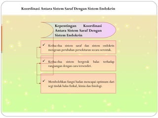 Kepentingan Koordinasi
Antara Sistem Saraf Dengan
Sistem Endokrin
 Kedua-dua sistem saraf dan sistem endokrin
mengesan perubahan persekitaran secara serentak.
 Kedua-dua sistem bergerak balas terhadap
rangsangan dengan cara tersendiri.
 Membolehkan fungsi badan mencapai optimum dari
segi tindak balas fizikal, kimia dan fisiologi.
Koordinasi Antara Sistem Saraf Dengan Sistem Endokrin
 