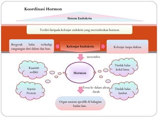 Sistem EndokrinSistem Endokrin
Kelenjar EndokrinKelenjar Endokrin
Bergerak balas terhadap
rangsangan dari dalam dan luar. Kelenjar tanpa duktus
Hormon
Kuantiti
sedikit
Sejenis
Protein
Tindak balas
kekal lama
Tindak balas
lambat
Organ sasaran spesifik di bahagian
badan lain.
Terdiri daripada kelenjar endokrin yang merembeskan hormon
merembes
Terus ke dalam aliran
darah
Koordinasi Hormon
 