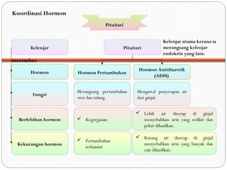 PituitariPituitari
Kelenjar
Hormon
Fungsi
Berlebihan hormon
Kekurangan hormon
Pituitari
Hormon Pertumbuhan
Hormon Antidiuretik
(ADH)
merembes
Merangsang pertumbuhan
otot dan tulang.
Mengawal penyerapan air
dari ginjal.
Kelenjar utama kerana ia
merangsang kelenjar
endokrin yang lain.
 Kegergasian
 Lebih air diserap di ginjal
menyebabkan urin yang sedikit dan
pekat dihasilkan.
 Pertumbuhan
terbantut
 Kurang air diserap di ginjal
menyebabkan urin yang banyak dan
cair dihasilkan.
Koordinasi Hormon
 