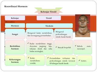 Kelenjar TiroidKelenjar Tiroid
Kelenjar
Hormon
Fungsi
Berlebihan
hormon
Kekurangan
hormon
Tiroid
Tiroksin
Merembes
Mengawal kadar metabolisme
dan merangsang pertumbuhan.
Mengawal
perkembangan
minda kanak-kanak.
 Kadar metabolisme tinggi,
denyutan jangtung laju,
tekanan darah dan suhu
badan meningkat.
 Banyak berpeluh.
 Kadar
metabolisme
rendah.
 Pertumbuhan terbantut dan
perkembangan minda terencat
di kalangan kanak-kanak.
 Bebola mata
menonjol.
 Goiter.
Koordinasi Hormon
 