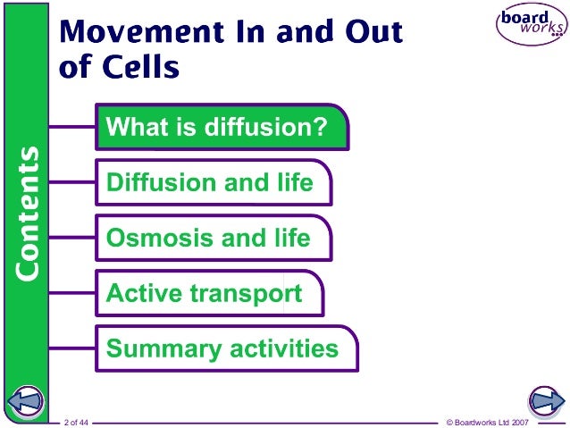 movement in and out of cells Study flashcards on b2 movement in and out of cells at cramcom quickly memorize the terms, phrases and much more cramcom makes it easy to get the grade you want. movement in and out of cells Study flashcards on b2 movement in and out of cells at cramcom quickly memorize the terms, phrases and much more cramcom makes it easy to get the grade you want.