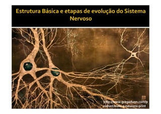 http://www.gregadunn.com/p
roduct/maki-e-neurons-print/
 
