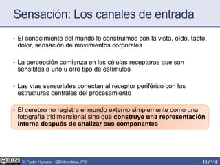 Sensación: Los canales de entrada
• El conocimiento del mundo lo construimos con la vista, oído, tacto,
dolor, sensación de movimientos corporales
• La percepción comienza en las células receptoras que son
sensibles a uno u otro tipo de estímulos
• Las vías sensoriales conectan al receptor periférico con las
estructuras centrales del procesamiento
• El cerebro no registra el mundo externo simplemente como una
fotografía tridimensional sino que construye una representación
interna después de analizar sus componentes
El Factor Humano - GEInformàtica, IPO 15 / 110
 