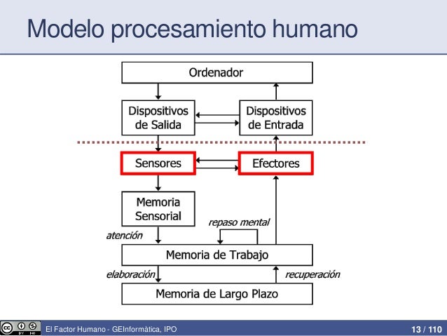 Factor humano en ipo
