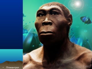 • Пітекантроп
 