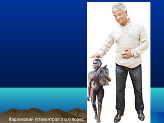 Карликовий пітекантроп з о.Флорес
 