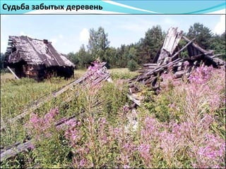Судьба забытых деревень
 