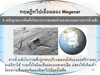 ทฤษฎีทวีปเลื่อนของ Wegener
12
ธารน้าแข็งโบราณซึ่งถูกพบบริเวณตอนใต้ของแอฟริกาและ
อเมริกาใต้ รวมทั้งในอินเดียและออสเตรเลีย แสดงให้เห็นเค้า
โครงการเชื่อมต่อกันของผืนทวีปเมื่อครั้งอดีต
3. หลักฐานจากหินที่เกิดจากการสะสมตัวของตะกอนจากธารน้าแข็ง
 