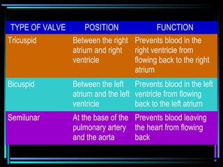 TYPE OF VALVE POSITION FUNCTION
Tricuspid Between the right
atrium and right
ventricle
Prevents blood in the
right ventricle from
flowing back to the right
atrium
Bicuspid Between the left
atrium and the left
ventricle
Prevents blood in the left
ventricle from flowing
back to the left atrium
Semilunar At the base of the
pulmonary artery
and the aorta
Prevents blood leaving
the heart from flowing
back
 