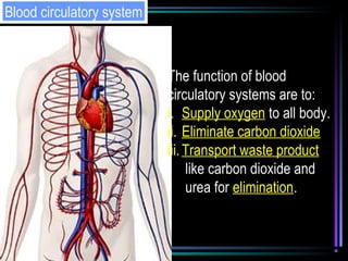 Blood circulatory system
The function of blood
circulatory systems are to:
i. Supply oxygen to all body.
ii. Eliminate carbon dioxide
iii.Transport waste product
like carbon dioxide and
urea for elimination.
 