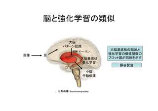 脳と強化学習の類似　
大脳
パターン認識
画像
小脳
行動伝達
大脳基底核
強化学習
報酬：ドーパミン
目
大脳基底核の脳波と
強化学習の価値関数の
プロット図が同形を示す
銅谷賢治
 