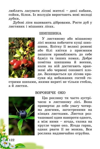 122
люблять ласувати лісові жителі – дикі кабани,
сойки, білки. Із жолудів виростають нові молоді
дубки.
Дубові ліси називають дібровами. Росте дуб у
листяних і мішаних лісах.
ШИПШИНА
У листяному або мішаному
лісі можна побачити кущі шип-
шини. Влітку її великі рожеві
або білі квітки з приємним
запа­хом приваблюють до себе
бджіл та інших комах. Добре
помітна шипшина й восени,
коли на ній достигають оран-
жеві або червоні соковиті пло-
ди. Захищається ця лісова кра-
суня від небажаних гостей го-
стрими шипами, якими вкриті не тільки стебла,
а й листки.
ВОРОНЯЧЕ ОКО
Цю рослину ти часто зустрі-
чаєш в листяному лісі. Вона
привертає до себе увагу чотир-
ма довгими, загостреними на
кінцях листками. Листки роз-
ташовані один навпроти одного­,
а між ними – ягода, схожа на
кругле чорне око. Ягода гарна,
однак рвати її не можна. Вся
рослина надзвичайно отруйна.
 