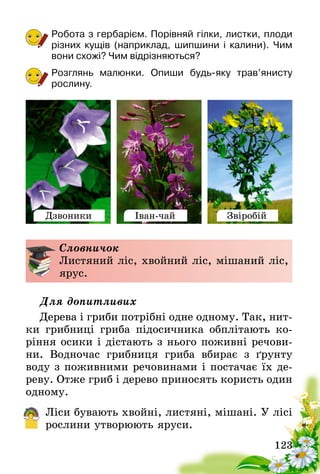 123
Робота з гербарієм. Порівняй гілки, листки, плоди
різних кущів (наприклад, шипшини і калини). Чим
вони схожі? Чим відрізняються?
Розглянь малюнки. Опиши будь-яку трав’я­нисту
рослину.
Дзвоники Іван-чай Звіробій
Словничок
Листяний ліс, хвойний ліс, мішаний ліс,
ярус.
Для допитливих
Дерева і гриби потрібні одне одному. Так, нит-
ки грибниці гриба підосичника обплітають ко-
ріння осики і дістають з нього поживні речови-
ни. Водночас грибниця гриба вбирає з ґрунту
воду з поживними речовинами і постачає їх де-
реву. Отже гриб і дерево приносять користь один
одному.
Ліси бувають хвойні, листяні, мішані. У лісі
рослини утворюють яруси.
 