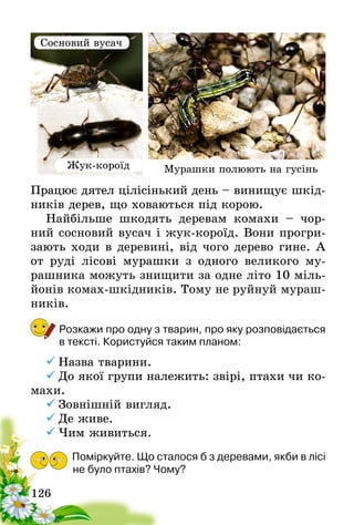 126
Працює дятел цілісінький день – винищує шкід-
ників дерев, що ховаються під корою.
Найбільше шкодять деревам комахи – чор-
ний сосновий вусач і жук-короїд. Вони прогри-
зають ходи в деревині, від чого дерево гине. А
от руді лісові мурашки з одного великого му-
рашника можуть знищити за одне літо 10 міль-
йонів комах-шкідників. Тому не руйнуй мураш-
ників.
Розкажи про одну з тварин, про яку розповідається
в тексті. Користуйся таким планом:
ü	Назва тварини.
ü	До якої групи належить: звірі, птахи чи ко-
махи.
ü	Зовнішній вигляд.
ü	Де живе.
ü	Чим живиться.
Поміркуйте. Що сталося б з деревами, якби в лісі
не було птахів? Чому?
Сосновий вусач
Жук-короїд Мурашки полюють на гусінь
 