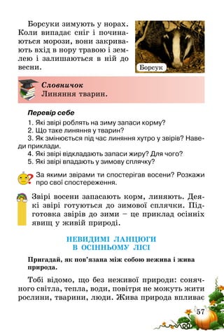57
Борсуки зимують у норах.
Коли випадає сніг і почина-
ються морози, вони закрива-
ють вхід в нору травою і зем-
лею і залишаються в ній до
весни.
Словничок
Линяння тварин.
Перевір себе
1.	Які звірі роблять на зиму запаси корму?
2.	Що таке линяння у тварин?
3.	Як змінюється під час линяння хутро у звірів? Наве-
ди приклади.
4.	Які звірі відкладають запаси жиру? Для чого?
5.	Які звірі впадають у зимову сплячку?
За якими звірами ти спостерігав восени? Розкажи
про свої спостереження.
Звірі восени запасають корм, линяють. Дея-
кі звірі готуються до зимової сплячки. Під-
готовка звірів до зими – це приклад осінніх
явищ у живій природі.
НЕВИДИМІ ЛАНЦЮГИ
В ОСІННЬОМУ ЛІСІ
Пригадай, як пов’язана між собою нежива і жива
природа.
Тобі відомо, що без неживої природи: соняч-
ного світла, тепла, води, повітря не можуть жити
рослини, тварини, люди. Жива природа впливає
?
Борсук
 