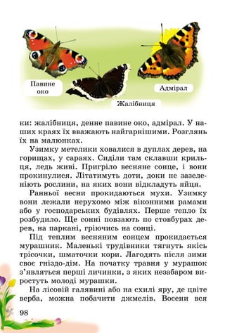 98
ки: жалібниця, денне павине око, адмірал. У на-
ших краях їх вважають найгарнішими. Розглянь
їх на малюнках.
Узимку метелики ховалися в дуплах дерев, на
горищах, у сараях. Сиділи там склавши криль-
ця, ледь живі. Пригріло весняне сонце, і вони
прокинулися. Літатимуть доти, доки не зазеле-
ніють рослини, на яких вони відкладуть яйця.
Ранньої весни прокидаються мухи. Узимку
вони лежали нерухомо між віконними рамами
або у господарських будівлях. Перше тепло їх
розбудило. Ще сонні повзають по стовбурах де-
рев, на паркані, гріючись на сонці.
Під теплим весняним сонцем прокидається
мурашник. Маленькі трудівники тягнуть якісь
трісочки, шматочки кори. Лагодять після зими
своє гніздо-дім. На початку травня у мурашок
з’являться перші личинки, з яких незабаром ви-
ростуть молоді мурашки.
На лісовій галявині або на схилі яру, де цвіте
верба, можна побачити джмелів. Восени вся
Павине
око
Жалібниця
Адмірал
 