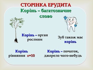 СТОРІНКА ЕРУДИТАСТОРІНКА ЕРУДИТА
Корінь – багатозначнеКорінь – багатозначне
словослово
Корінь –Корінь – органорган
рослинирослини
Зуб також маєЗуб також має
корінькорінь
КоріньКорінь
рівняннярівняння х=10х=10
Корінь –Корінь – початок,початок,
джерело чого-небудьджерело чого-небудь
 