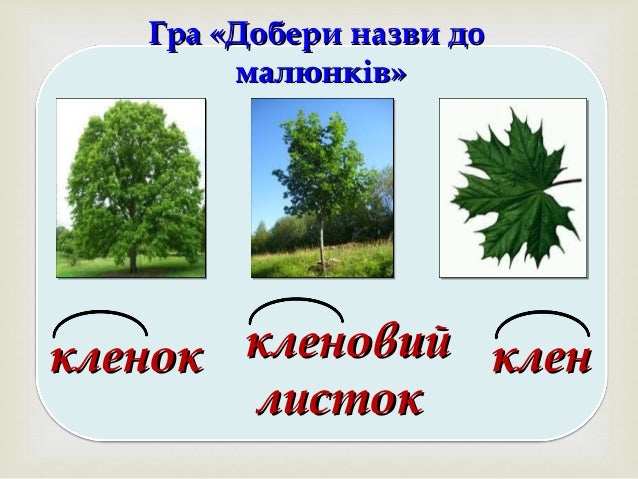 корінь слова укр. мова 2 кл.