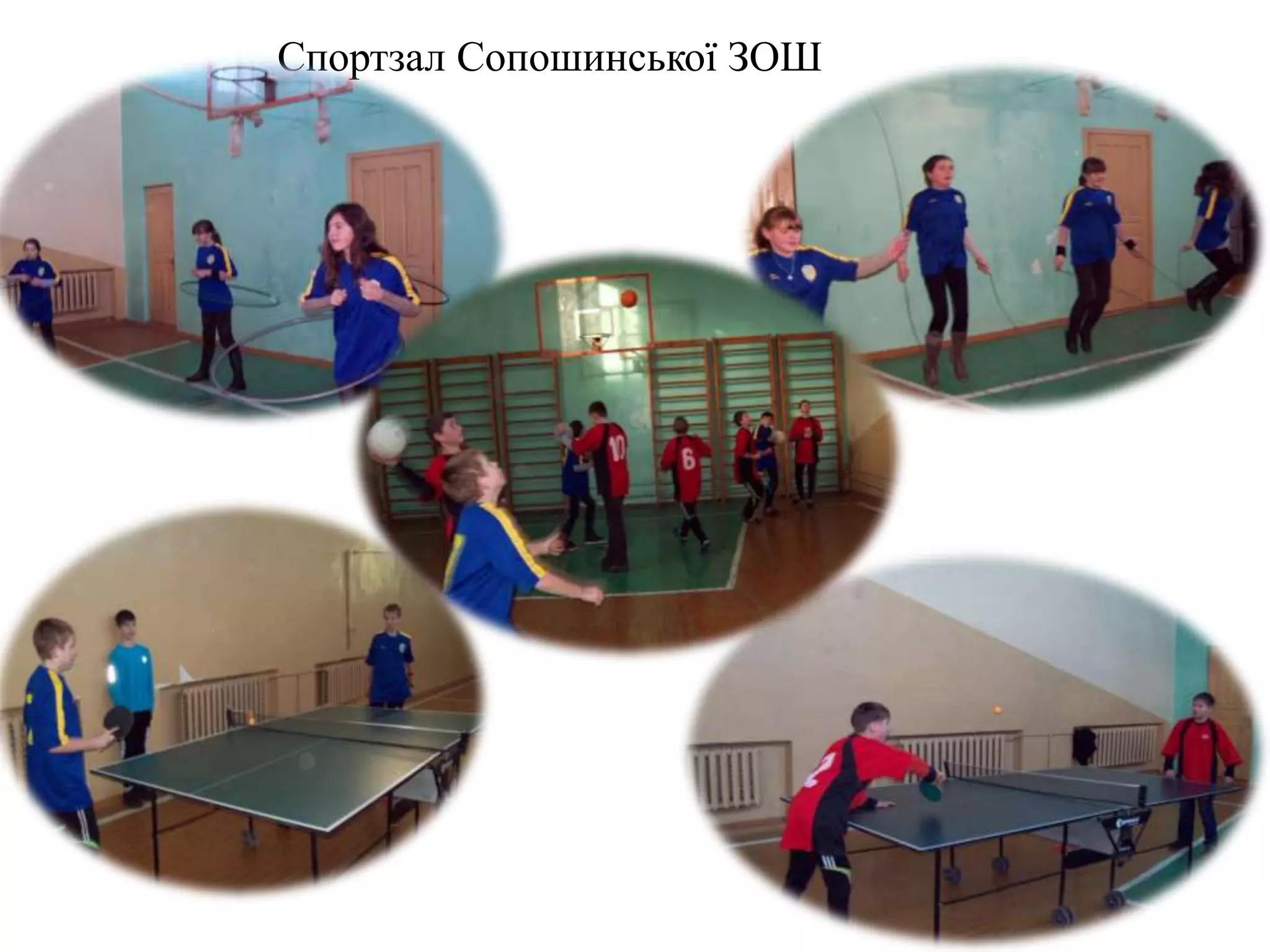 Спортзал Сопошинської ЗОШ
 